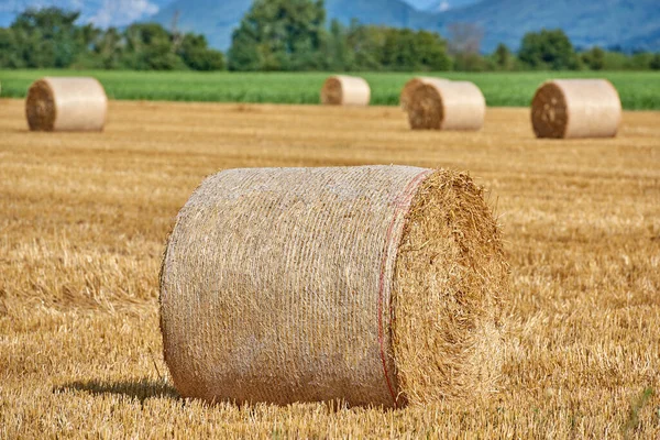 Hay Field Bales Straw Rolled Countryside Farm Autumn Harvest Landscape — ストック写真