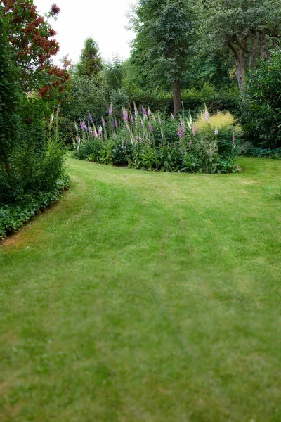 Landscape View Cultivated Garden Plants Trees Home Backyard Neat Calm — ストック写真