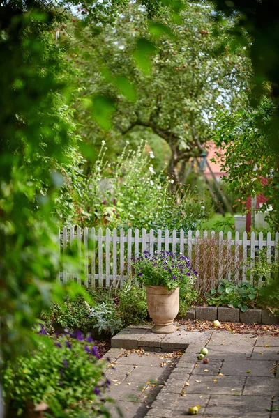 Flower Pot Petunias Growing White Picket Fence Backyard Home Garden — ストック写真