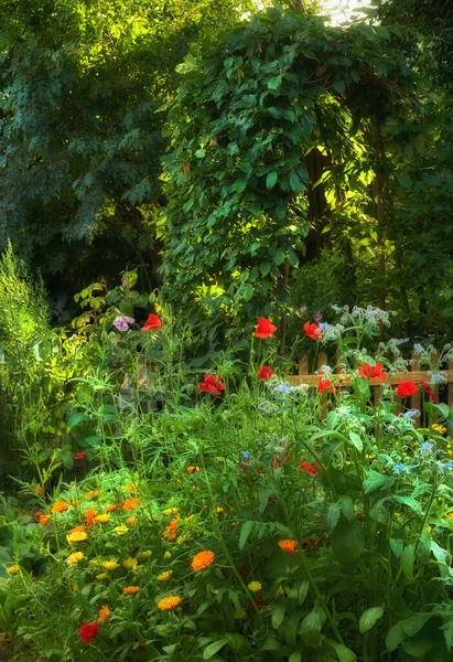 Garden Dreams Bright Green Garden Vibrant Flowers Outdoors Spring Day — Photo