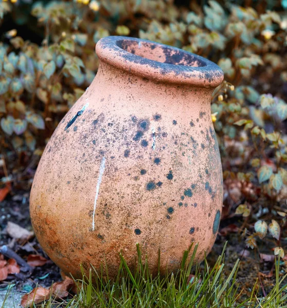 Old Abandoned Floral Arrangement Holder Backyard Ready Refurbished Empty Ceramic — 图库照片