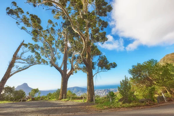Trees Plants Vegetation Road Cliff Nature Cloudy Blue Sky Panoramic — Stock Fotó