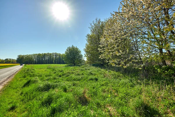 Road to outdoor nature on a warm sunny day in spring. Route in beautiful adventure landscape with sun, blue sky, green grass and trees. On a highway trip in the countryside for the love of travel