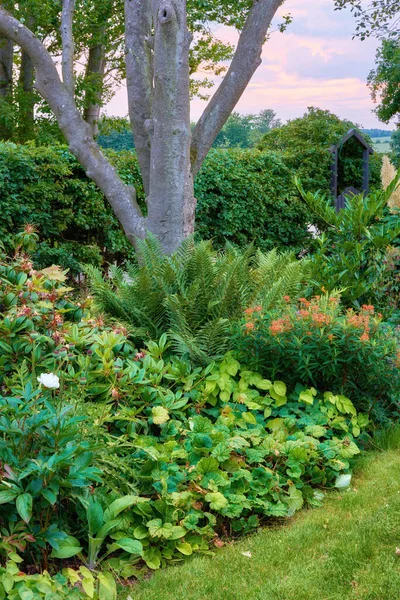 Lush garden with trees and flowering plants growing in a park or backyard in spring. Vibrant green bushes, lawn and shrubs flourishing in nature. Natural background for gardening and landscaping.