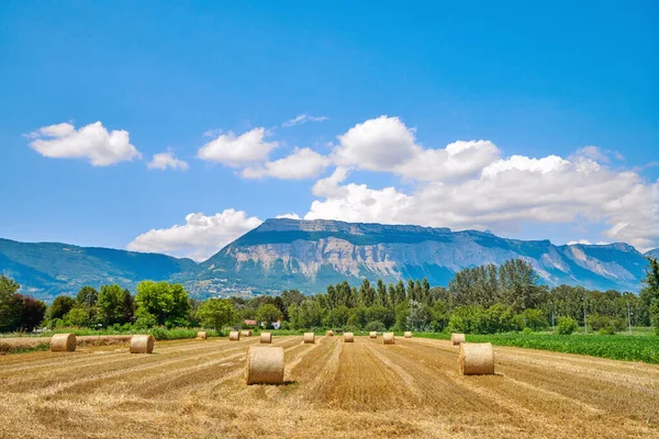 Bales Brown Straw Hay Rolled Bundles Field Mountain Blue Sky — Fotografia de Stock