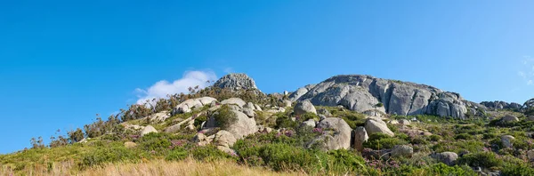 Скелястий Пейзаж Вершині Столової Гори Сонячному Кейптауні Південна Африка Тропічні — стокове фото