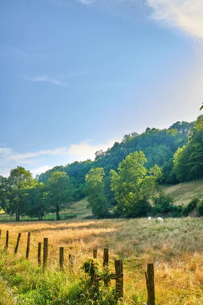 Rural Farm Land Green Trees Quiet Countryside Growing Forest Hill — Stock Photo, Image