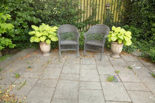 A beautiful lush green garden with two and chairs in a backyard on a sunny day. Vibrant patio with scenic views of nature in a peaceful, tranquil spot. Venue for a zen picnic or lunch date.