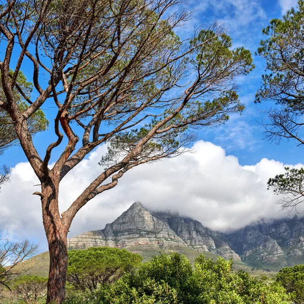 Scenic Táj Table Mountain Cape Town Dél Afrika Ellen Felhős — Stock Fotó