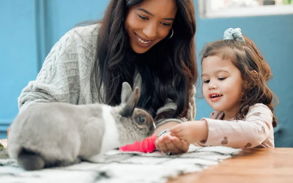 Just Time Easter Mother Daughter Feeding Pet Rabbit Home — Stockfoto