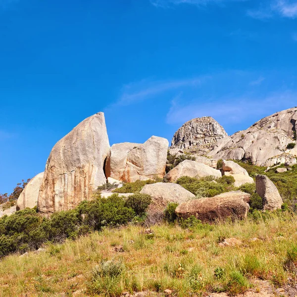 Big Rocks Bushes Clear Blue Sky Copy Space Wild Nature — Stockfoto