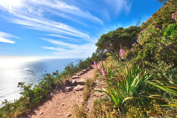 Mountain View Hiking Trail Copy Space Leading Nature Reserve Pink — Stock Fotó