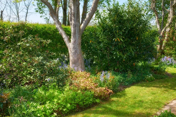Garden Landscape View Landscaped Garden Peaceful Private Secluded Backyard Home —  Fotos de Stock