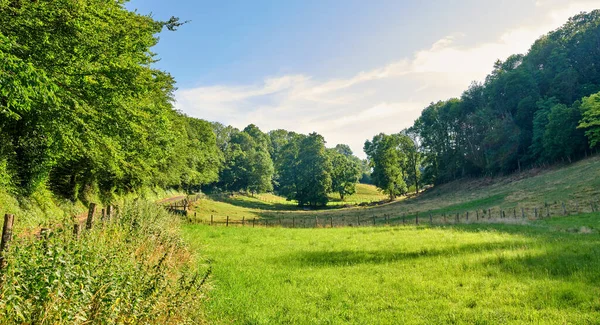 Copyspace Schilderachtig Landschap Van Grazige Weiden Bosbomen Met Een Bewolkte — Stockfoto