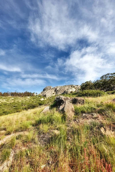 Copy Space Scenic Hiking Trail Lush Grassland Table Mountain South — Stockfoto