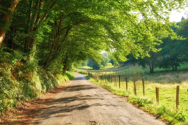 Countryside Road Forest Trees Grassland Farm Pasture Remote Area Landscape — Stockfoto