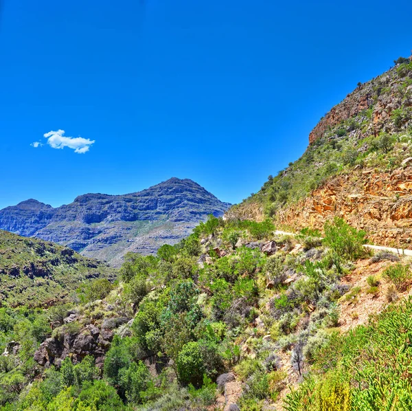 Beautiful Landscape Mountains Covered Lush Green Plants Blue Sky Summer — Stockfoto