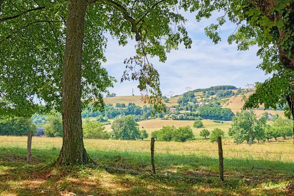 Green Countryside Landscape Trees Blue Sky Nature Beautiful Natural Farm — Stock Photo, Image