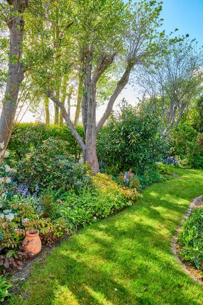 Lebendige Gartenanlage Mit Blumen Pflanzen Und Einem Üppigen Rasen Mit — Stockfoto