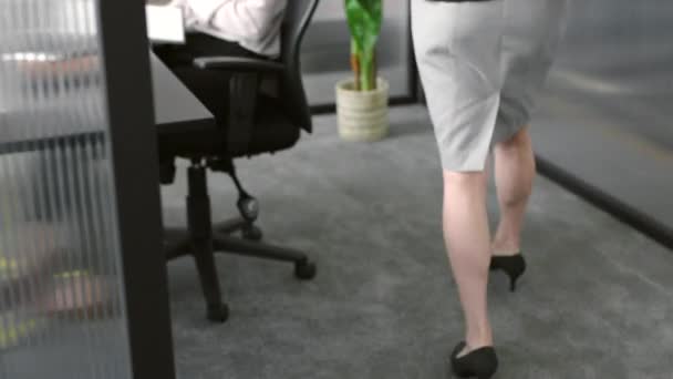 Eine Geschäftsfrau Betritt Ein Modernes Büro Und Sitzt Mit Einem — Stockvideo