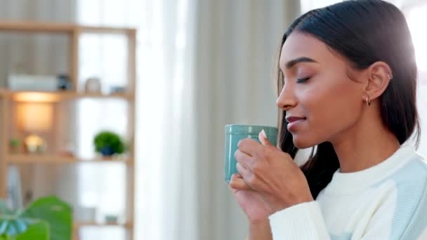 Enjoying Comfortable Cozy Tea Break Young Woman Drinking Hot Cup — Vídeo de stock