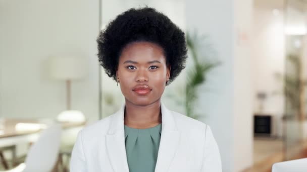 Zelfverzekerd Vrolijk Gecharterd Accountant Met Afro Tonen Vriendelijke Gezichtsuitdrukking Vertrouwen — Stockvideo