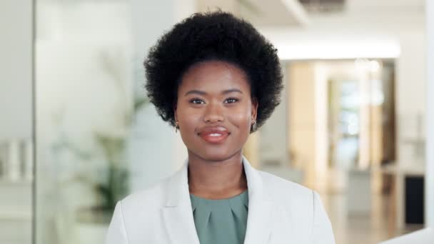 Portrait Successful Business Woman Smiling Looking Confident Face Ambitious Entrepreneur — Video Stock