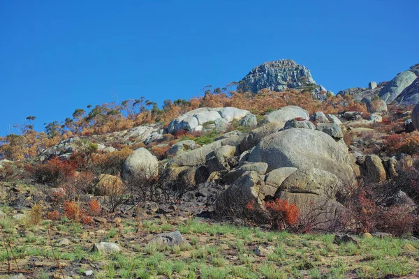 Big Mountain Large Rocks Beautiful Green Brown Wild Grass Trees — Φωτογραφία Αρχείου