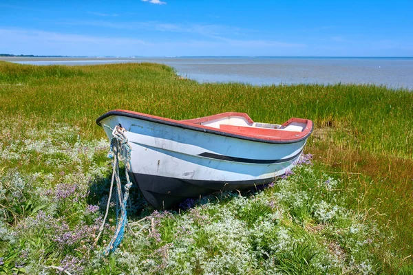 Old Abandoned Wooden Fishing Boat Green Grassy Meadow Flowers Still — Stockfoto