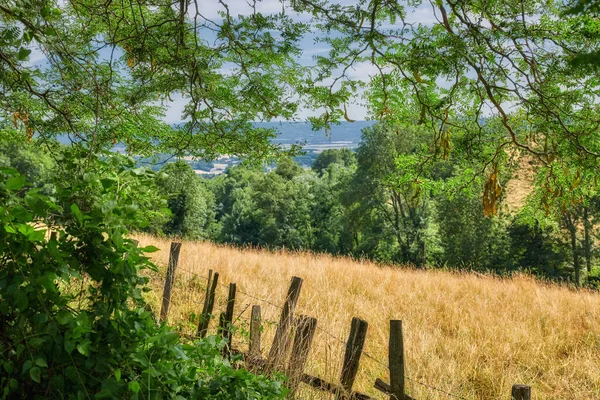 Overgrown Farmland Fence Surrounding Field Landscape Sustainable Agricultural Farm Hay — Stock Photo, Image