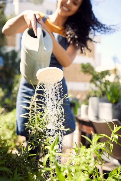 Nurture Watch Turn Something Beautiful Young Female Florist Watering Plants — 图库照片