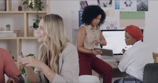 Group Employees Work Talking Collaborating Brainstorming Diverse Design Team Working — Video