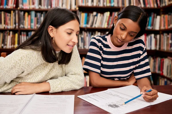 Whats Next Question Two Young Female Students Studying Together Library — Foto Stock