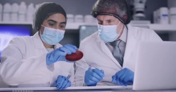 Два Вчені Експериментують Тестують Зразки Крові Медичній Дослідницькій Лабораторії Патологи — стокове відео