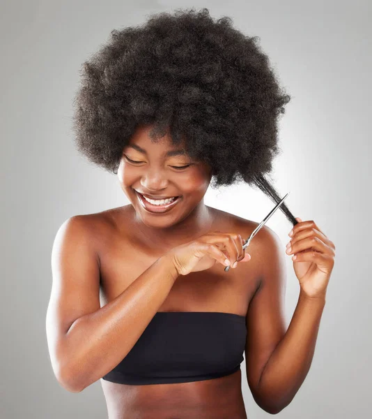 Should Really Young Woman Cutting Her Hair Grey Background — Φωτογραφία Αρχείου