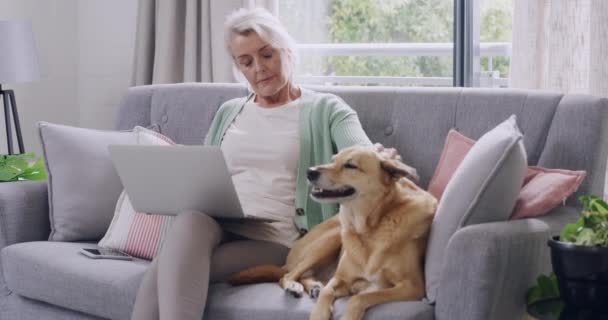 Seniorin Streichelt Ihren Mischlingshund Während Sie Hause Laptop Surft Rentnerin — Stockvideo