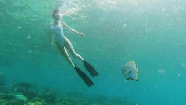 Filmagem Vídeo Uma Jovem Atraente Snorkel Perto Peixe Orbiculado Recifes — Vídeo de Stock