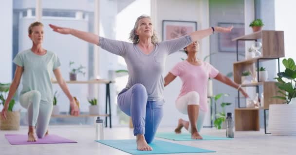 Active Mature Women Meditating Fitness Class Yoga Studio Yogi Training — Αρχείο Βίντεο