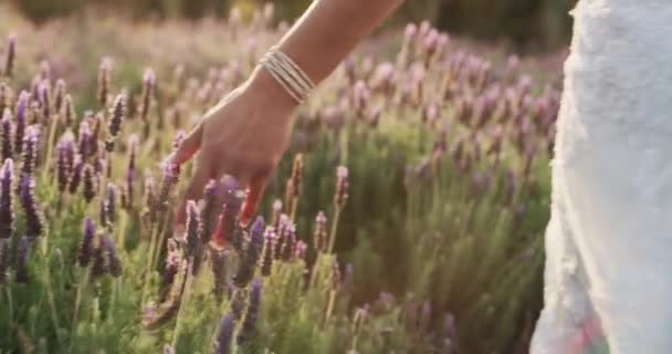 Video Footage Unrecognizable Bride Walking Meadow Her Wedding Day — Vídeo de stock