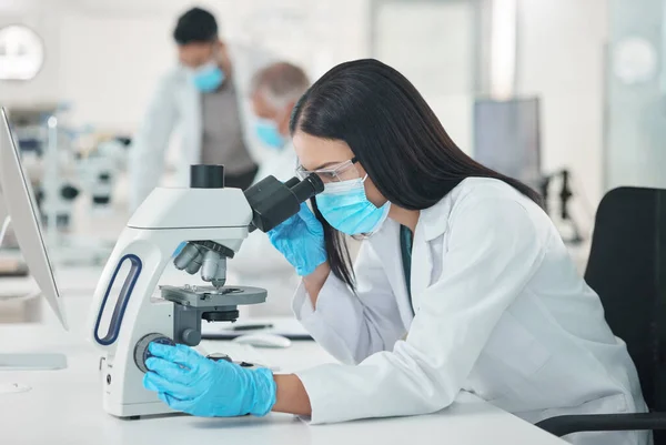 Best Way Forward Keep Young Scientist Using Microscope Lab — Stockfoto