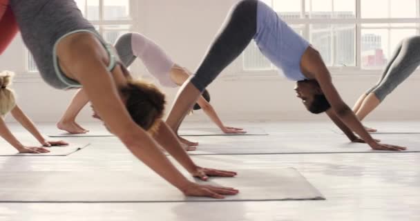 Yoga Stüdyosunda Birlikte Egzersiz Yapan Bir Grup Genç Kadının Video — Stok video