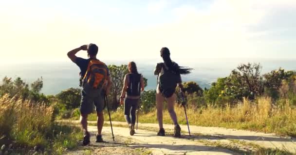 Fit Active Friends Hiking Nature Mountain Dust Path Friend Clique — Stockvideo