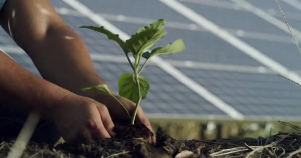 Video Footage Framer Planting His Farm — 비디오