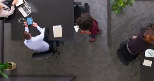 Timelapse Productive Team Employees Working Together Office Multitasking Colleagues Collaborating — Stok video