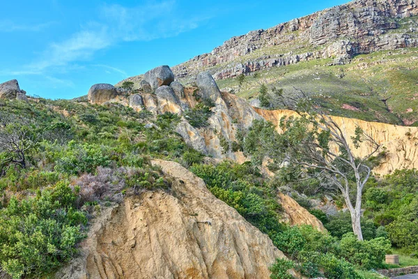Landscape Mountain Green Plants Foliage South Africa Sunny Day Rocky — Stockfoto