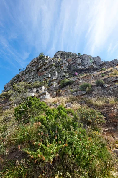 Kopieer Ruimte Een Rotsachtige Berg Met Planten Struiken Groeien Tegen — Stockfoto