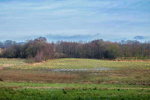 Open Field Forest Background Late Winter Denmark Cloudy Sky Copy — Photo
