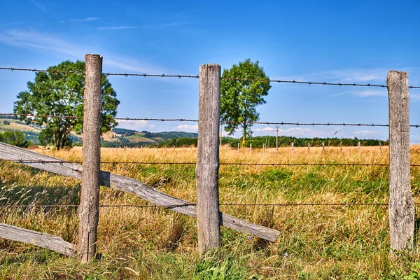 Farming Agriculture Field Copy Space Blue Sky Overgrown Grass Fenced — 图库照片