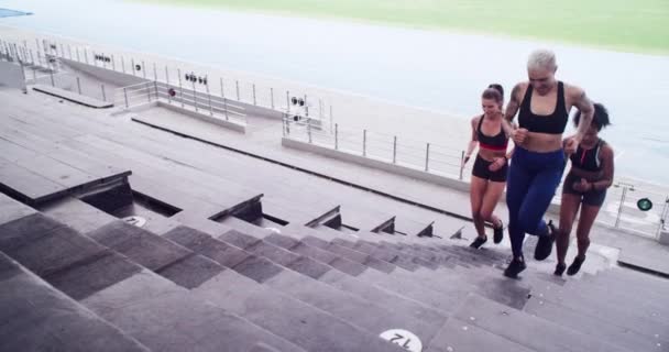 Video Footage Group Athletes Running Staircase Sports Arena — Vídeos de Stock