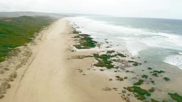 Video Oceano Che Riversa Una Spiaggia Vuota Circondata Piante Durante — Video Stock